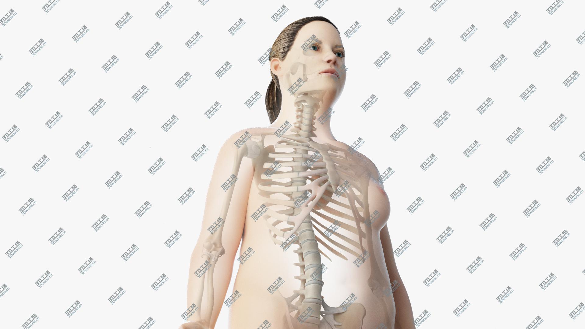 images/goods_img/20210313/Obese Female Skin And Skeleton 3D model/1.jpg